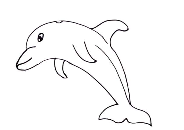underwater - dolphin