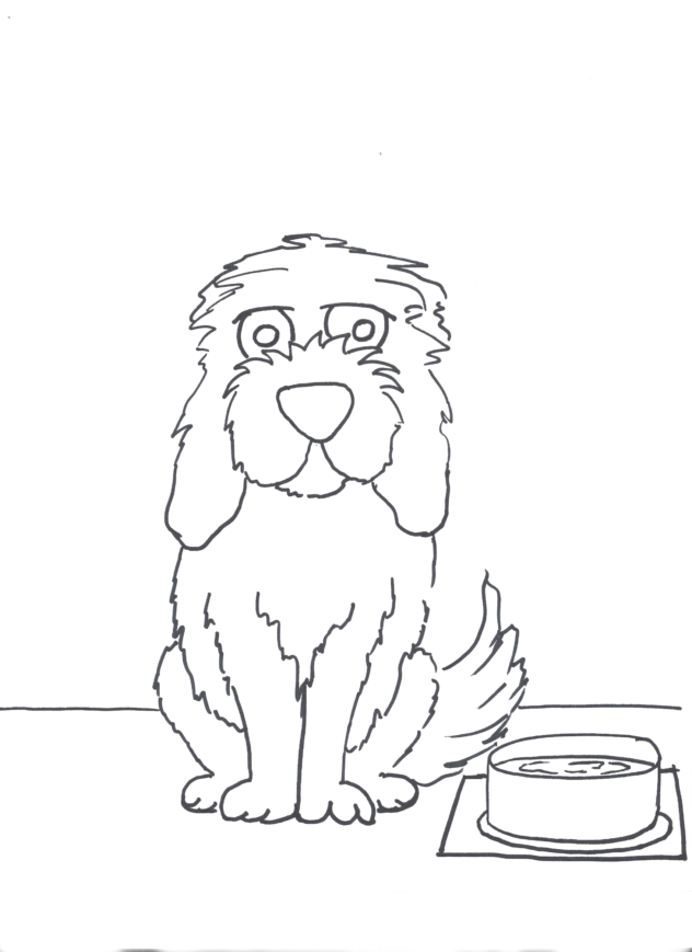 Guided Drawing - Shaggy Dog