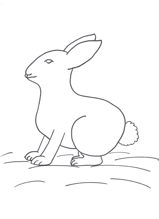 CreateWithVictoriaLynn Guided Drawing Rabbit